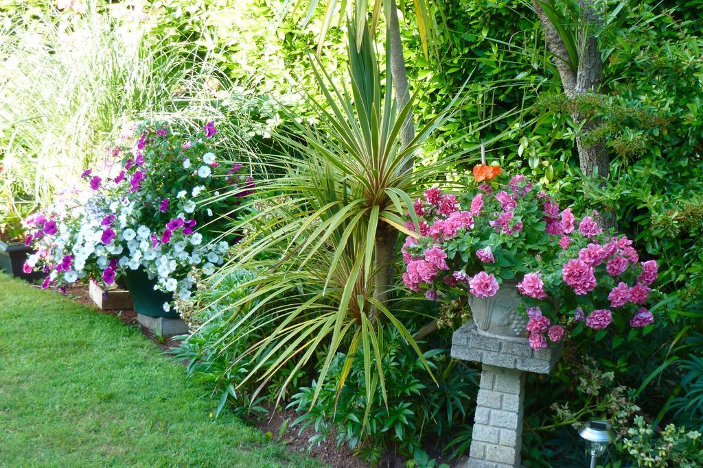 Cloudlands Guest House Torquay Extérieur photo